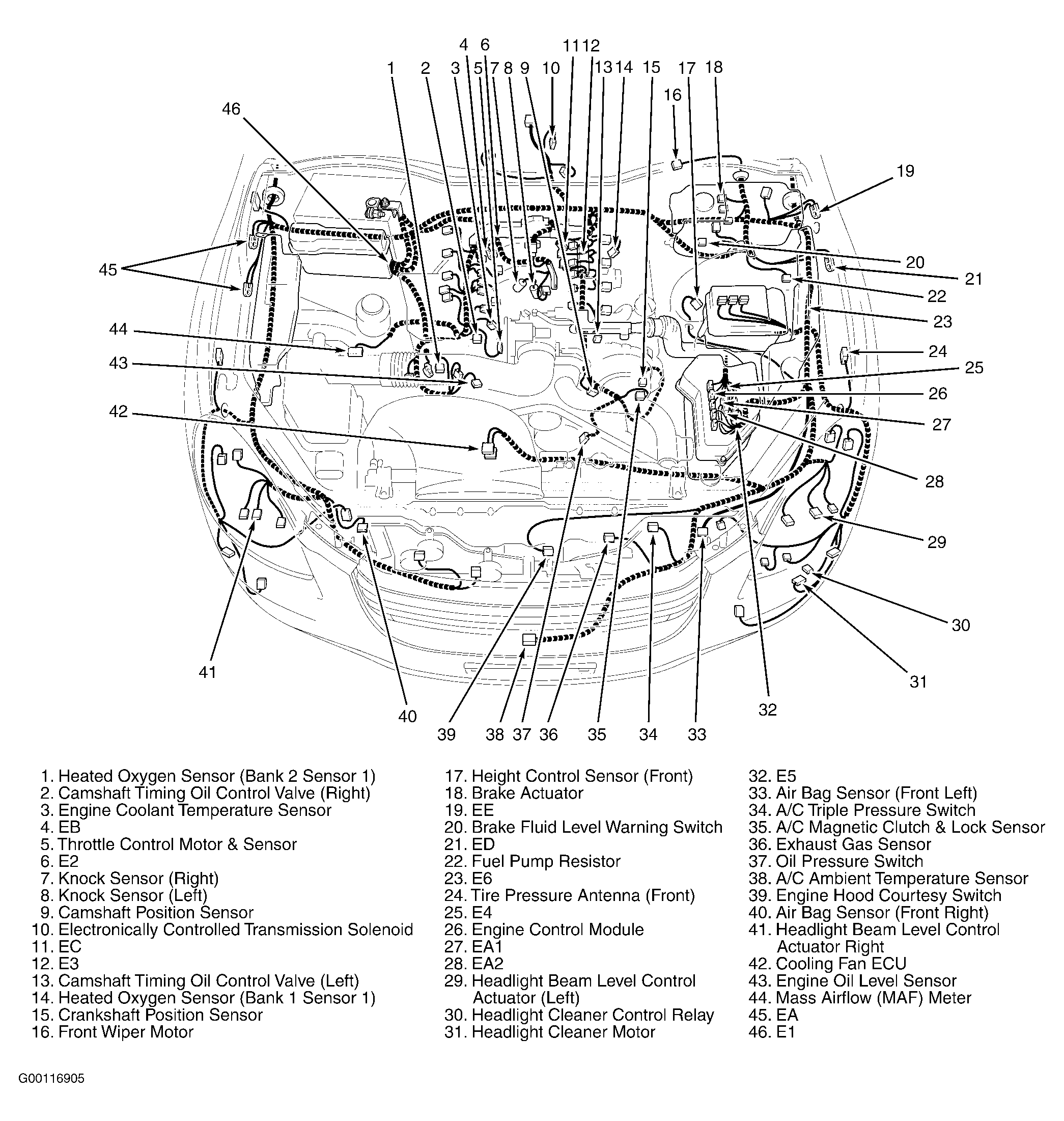 G00116905