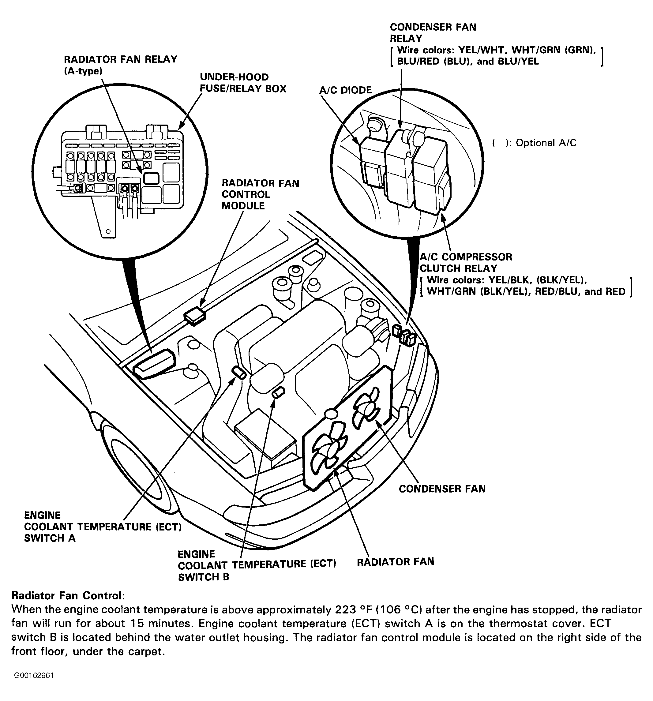 G00162961