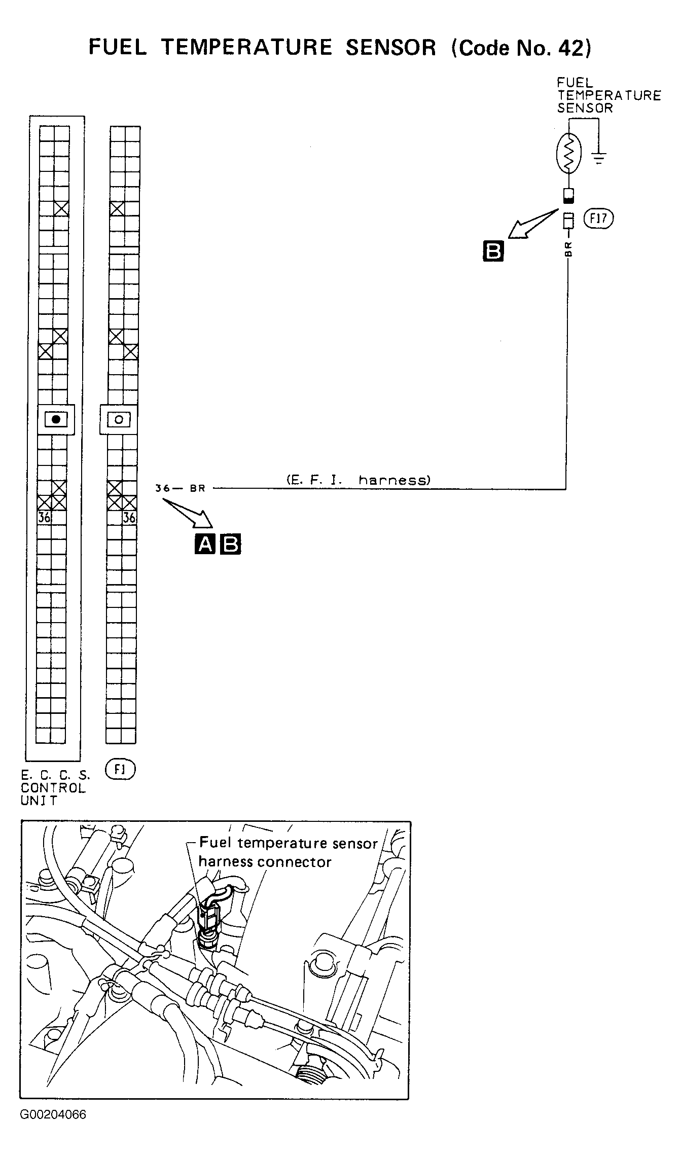 G00204066