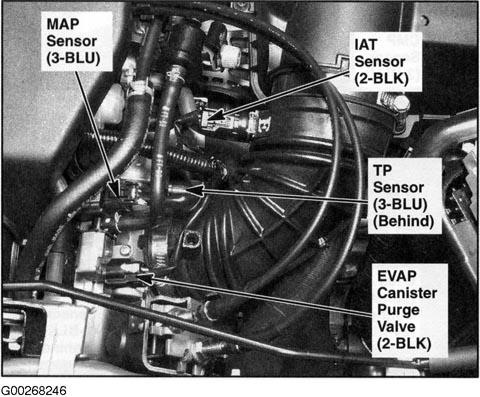 G00268246