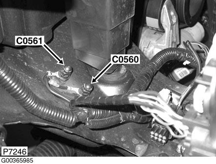 G00365985