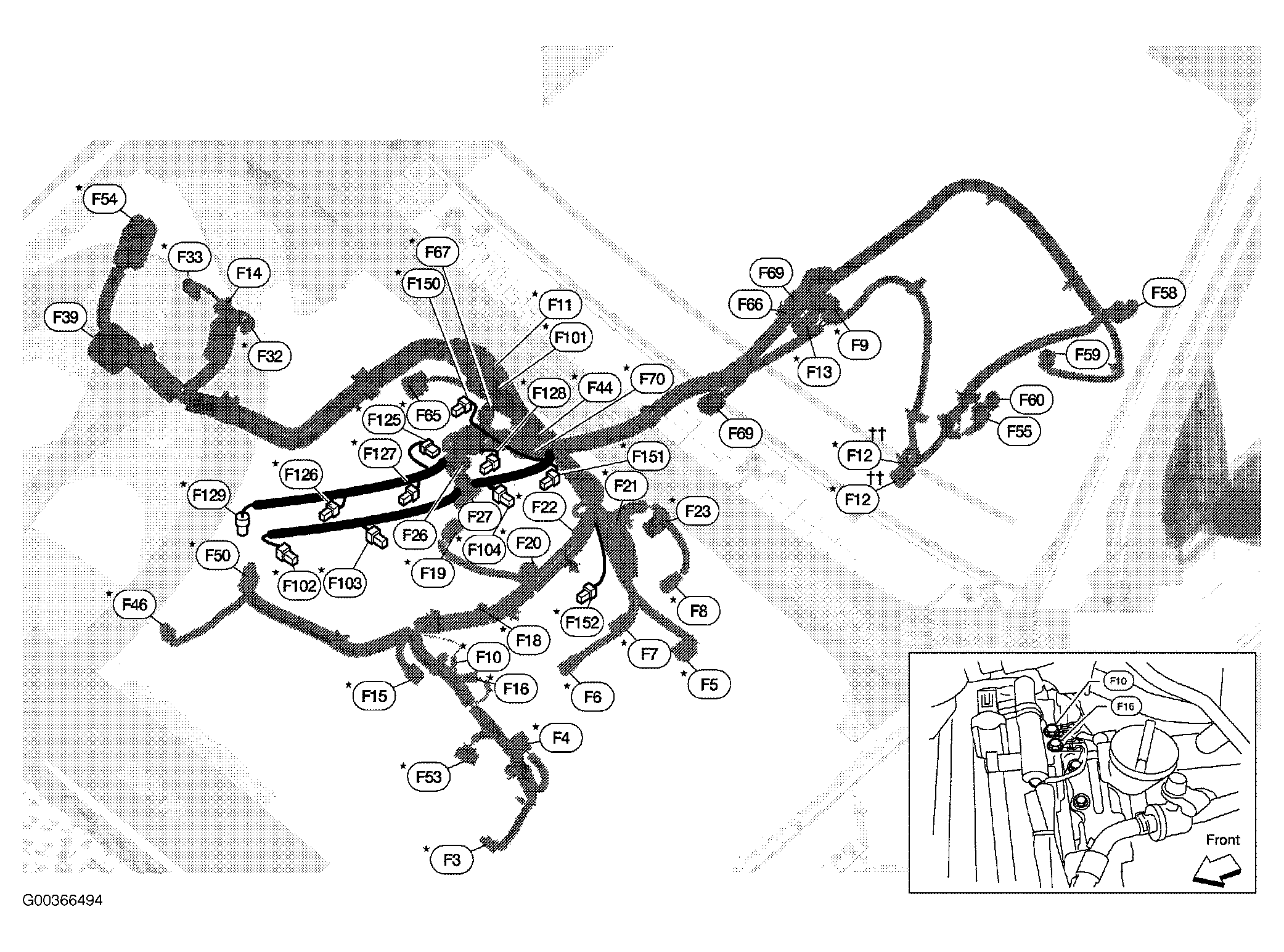 G00366494