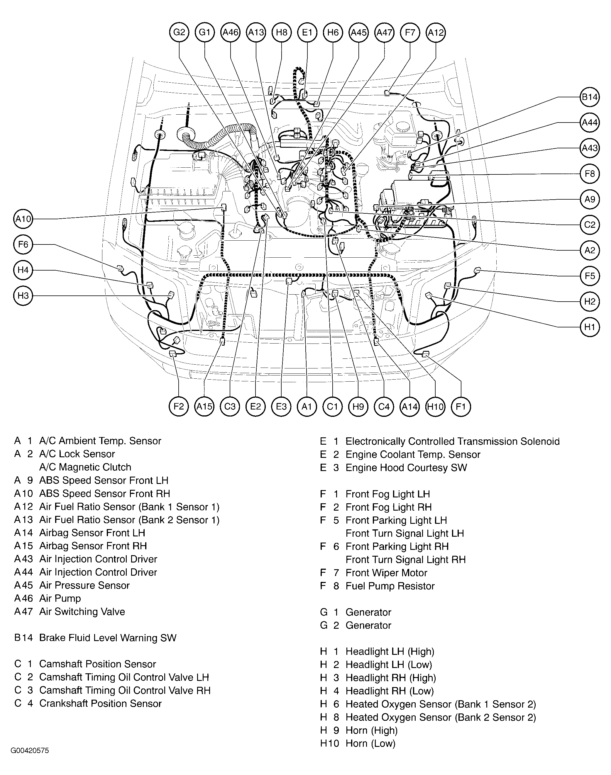 G00420575
