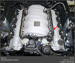 G00446496