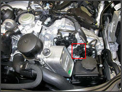 G00446503