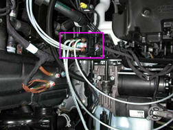 G00456318