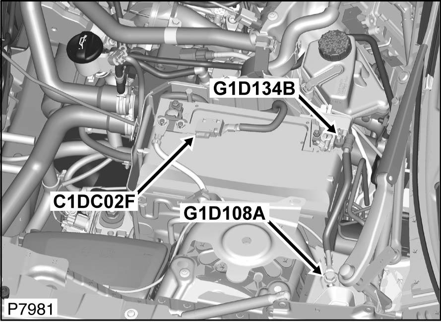 G00463060