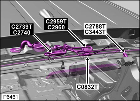 G00479548