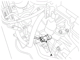 G00558242