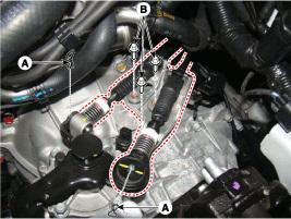 G00558243
