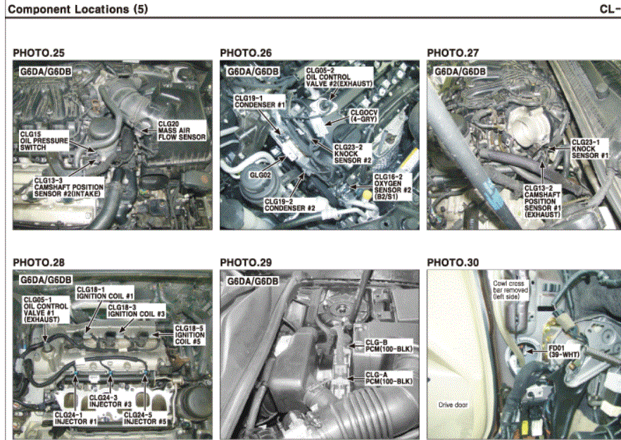 G00619880