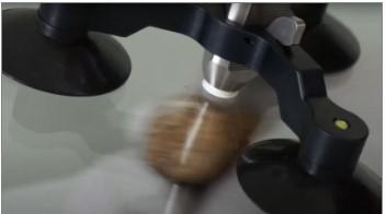 G00627510