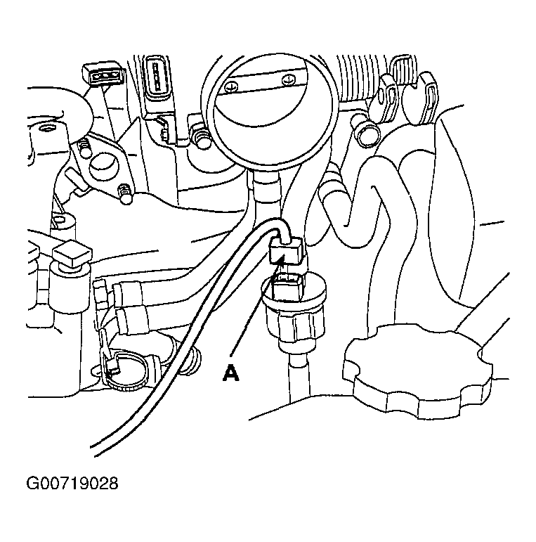 G00719028