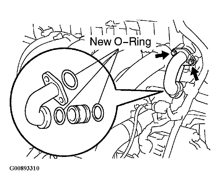 G00893310