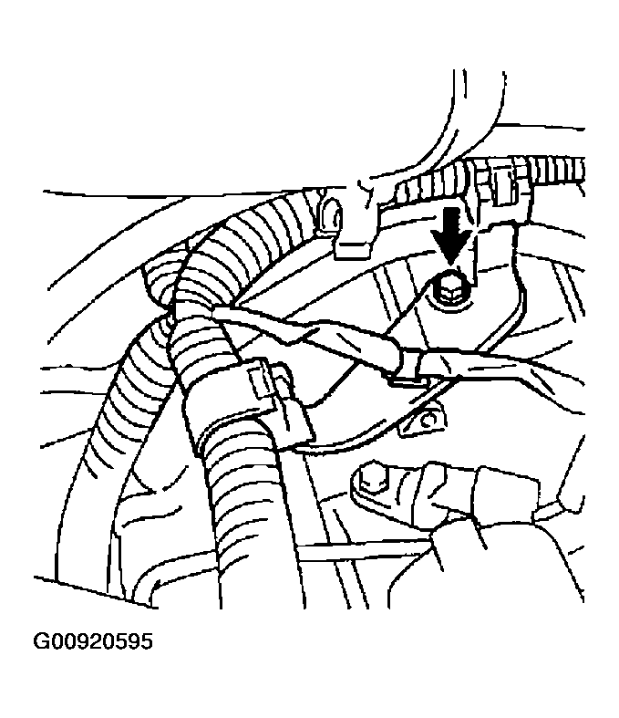 G00920595