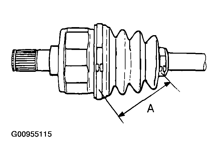 G00955115