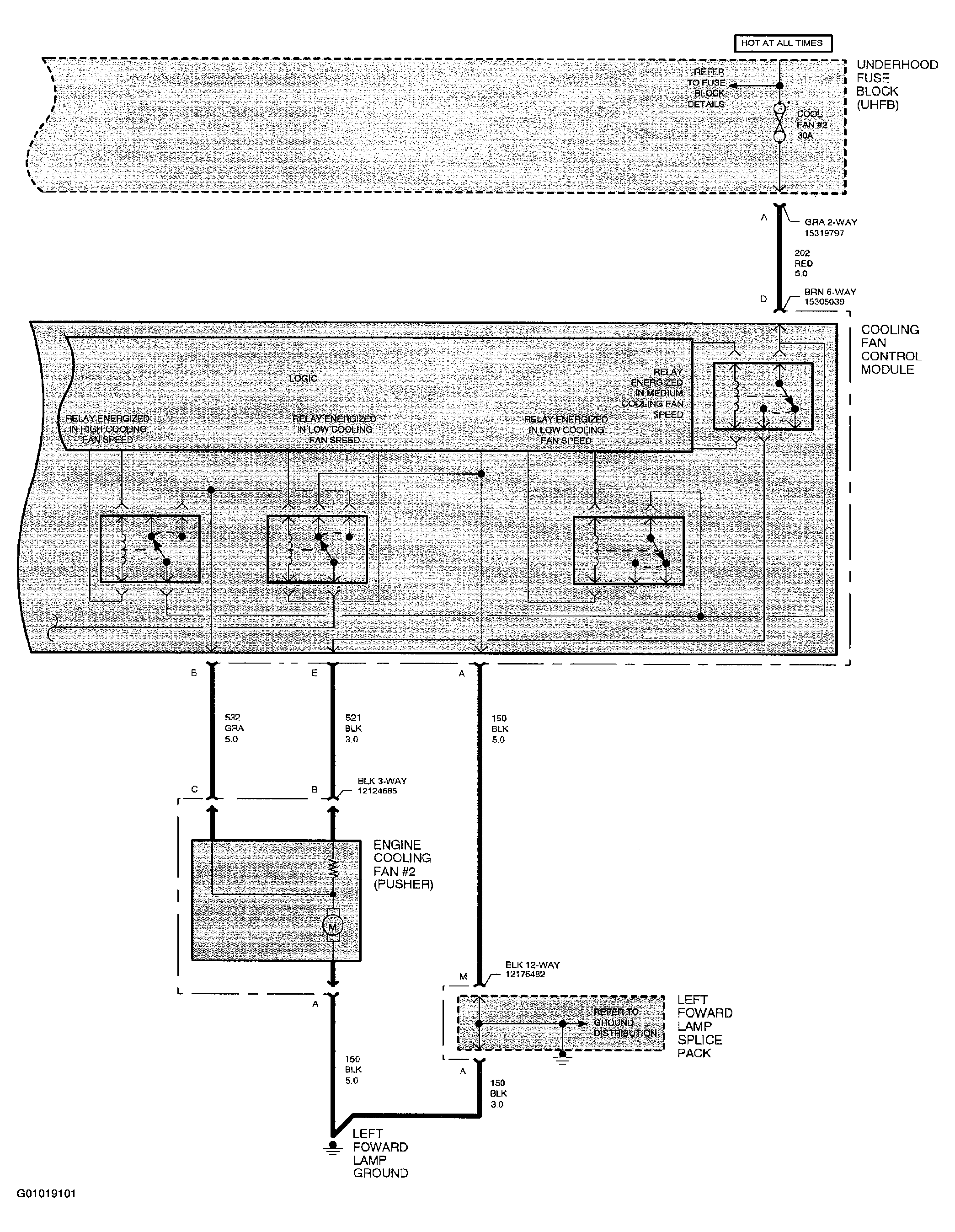 G01019101