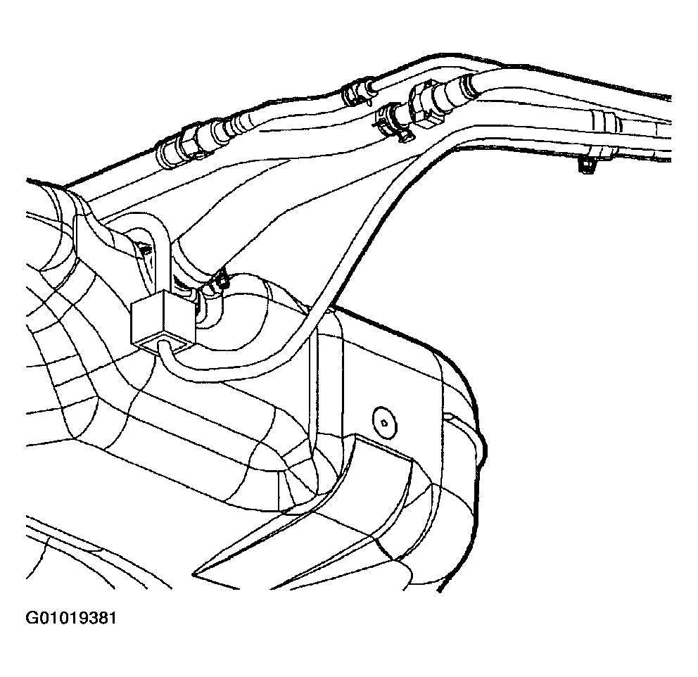 G01019381