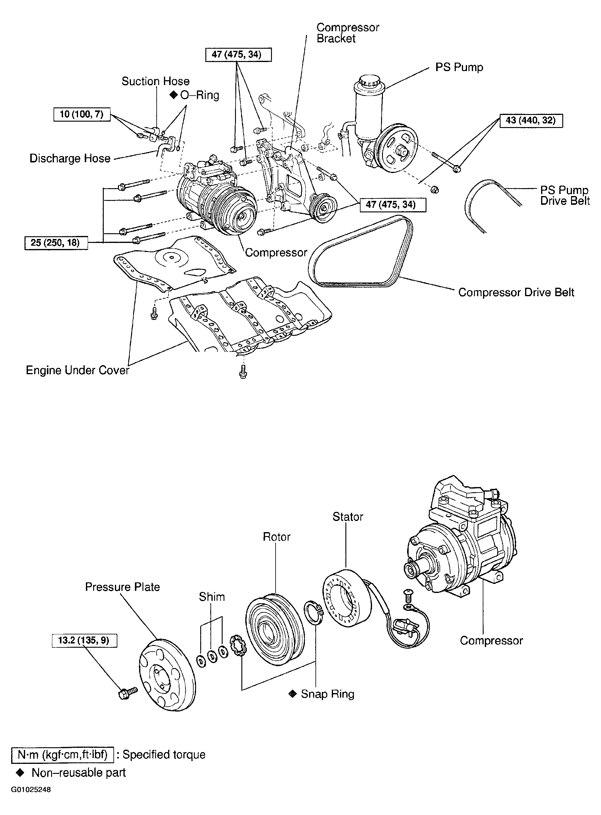 G01025248