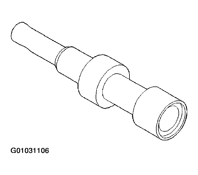G01031106
