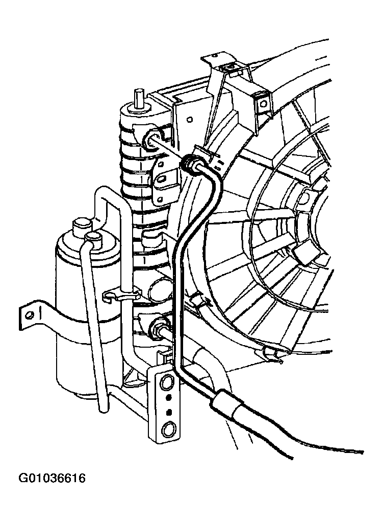 G01036616