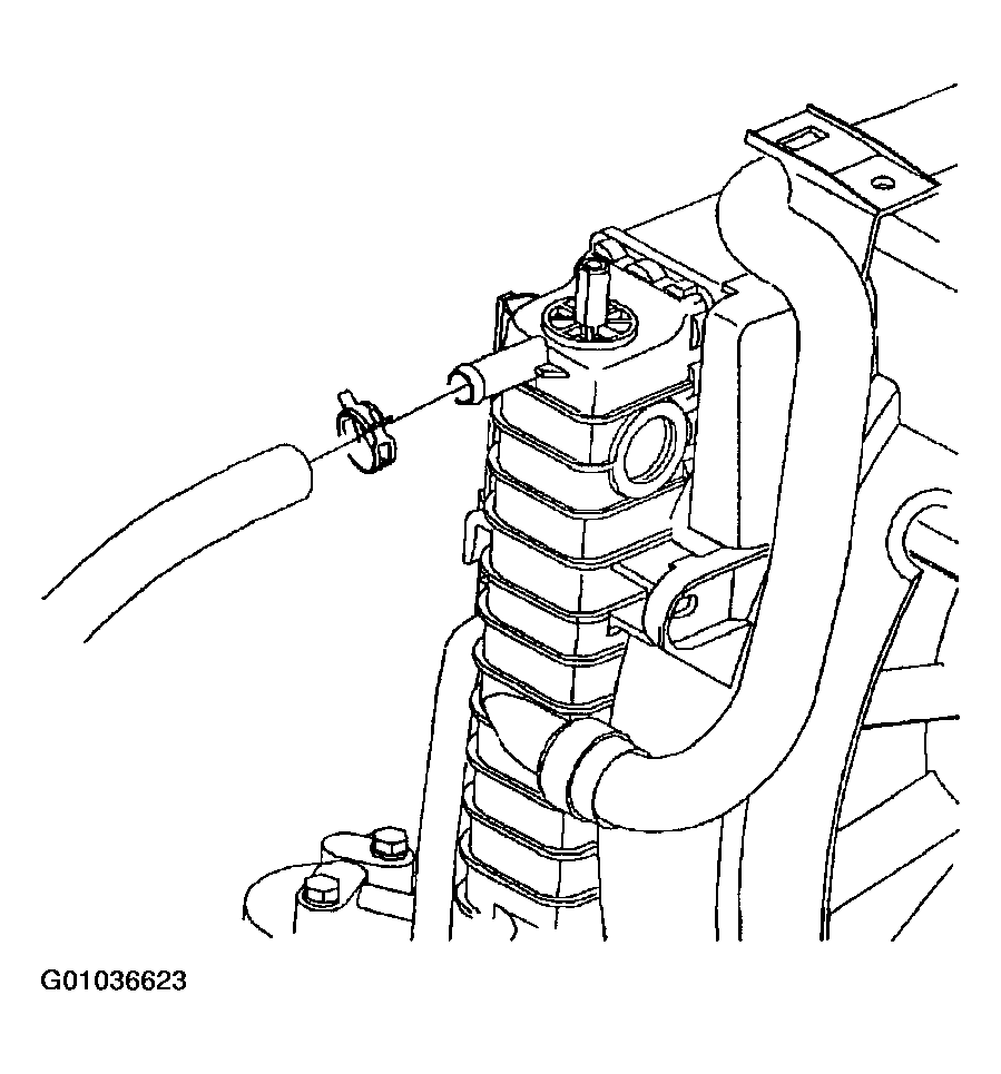 G01036623