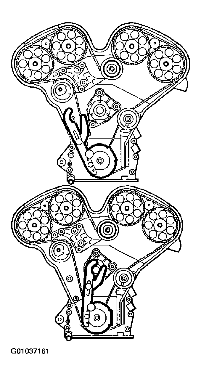 G01037161