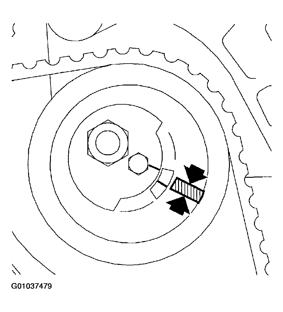 G01037479