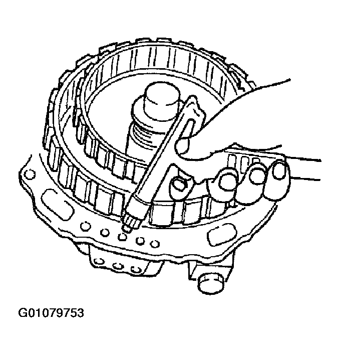 G01079753