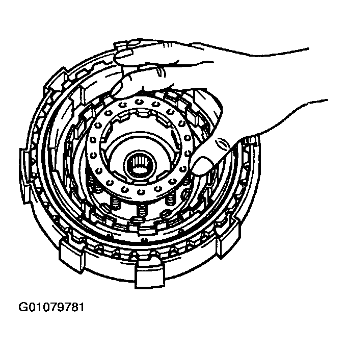 G01079781