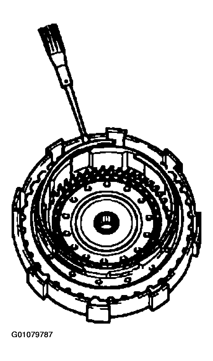 G01079787