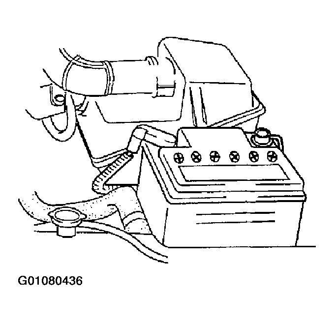 G01080436