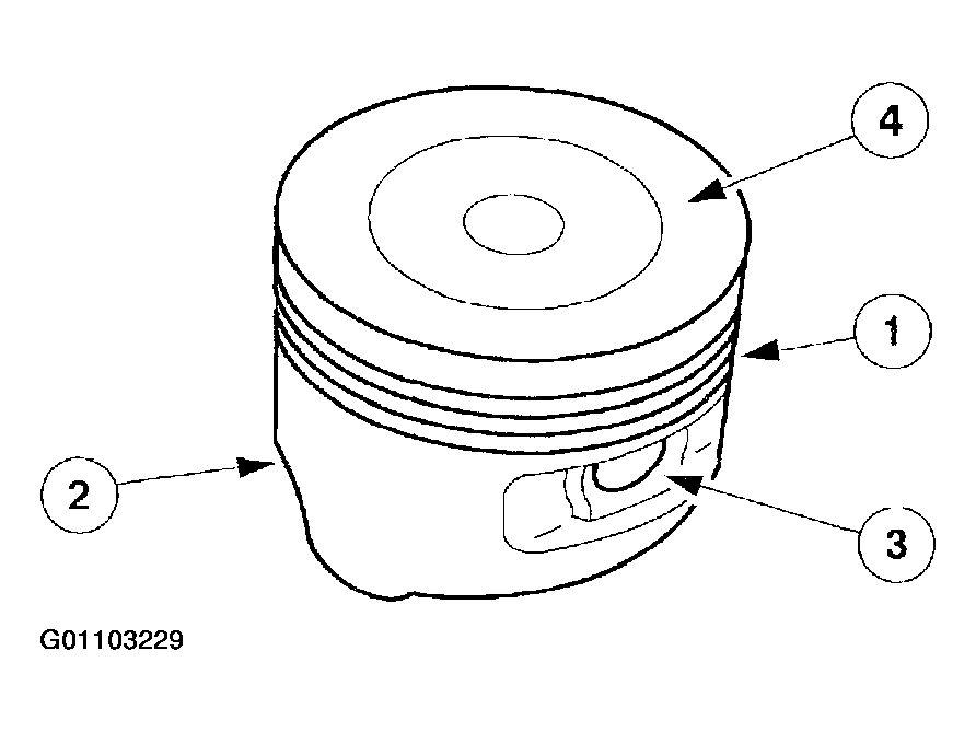G01103229