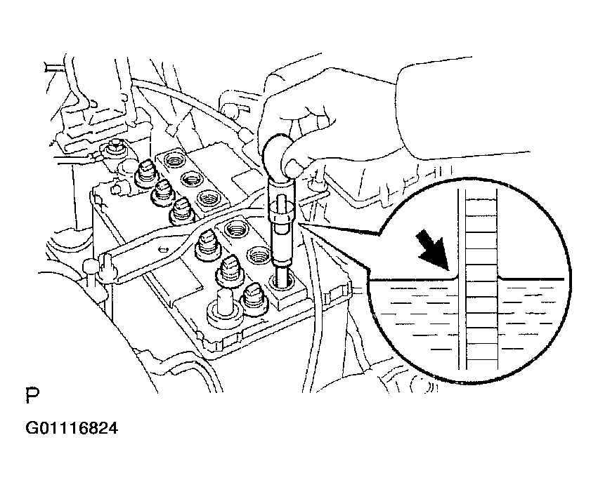 G01116824
