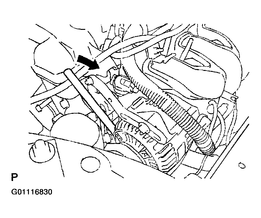 G01116830