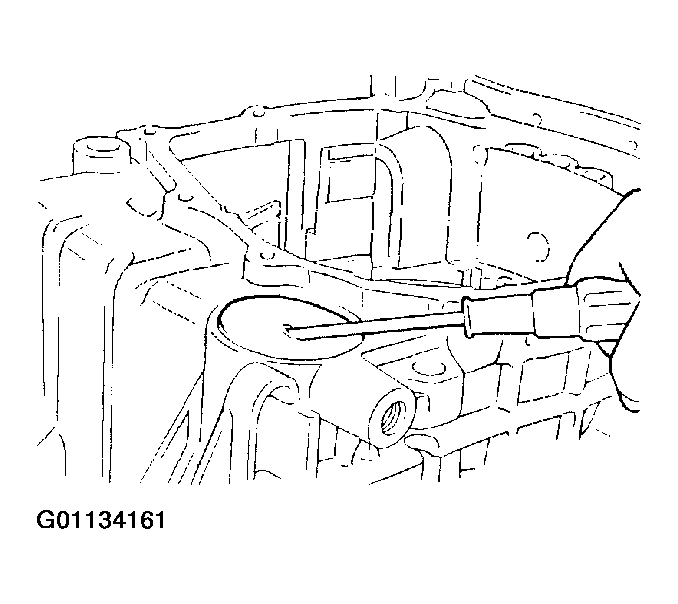 G01134161