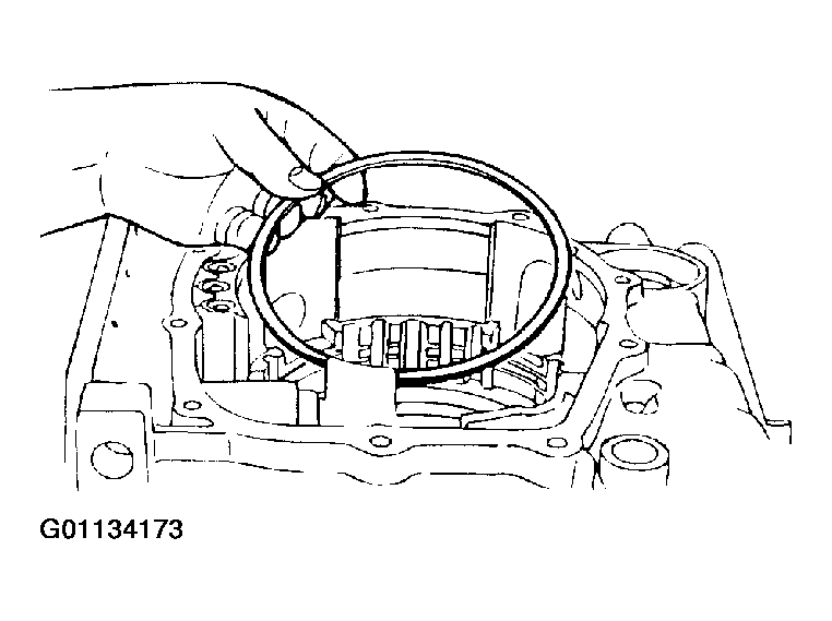 G01134173