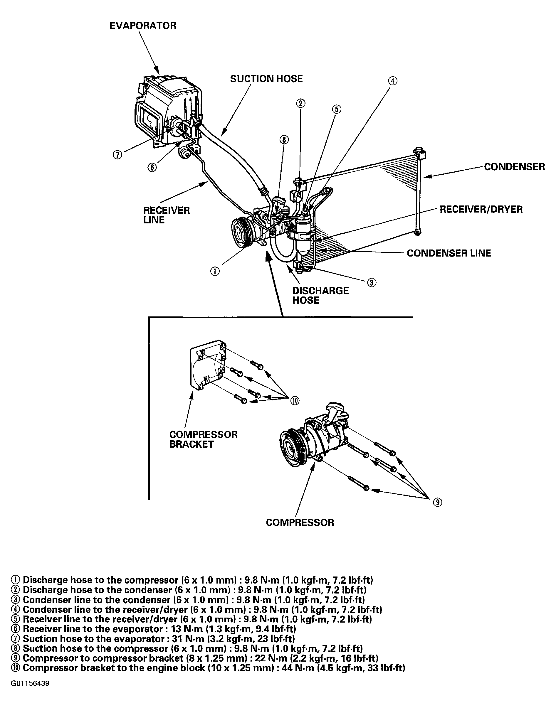 G01156439