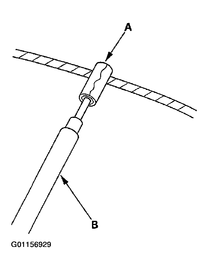 G01156929