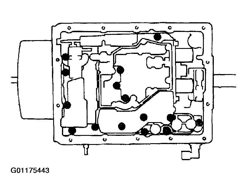 G01175443