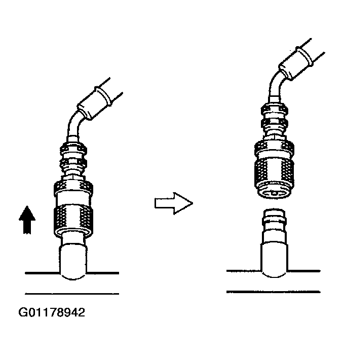 G01178942