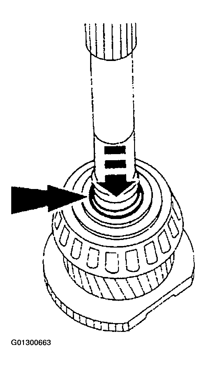 G01300663