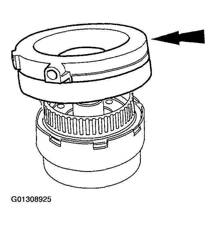G01308925