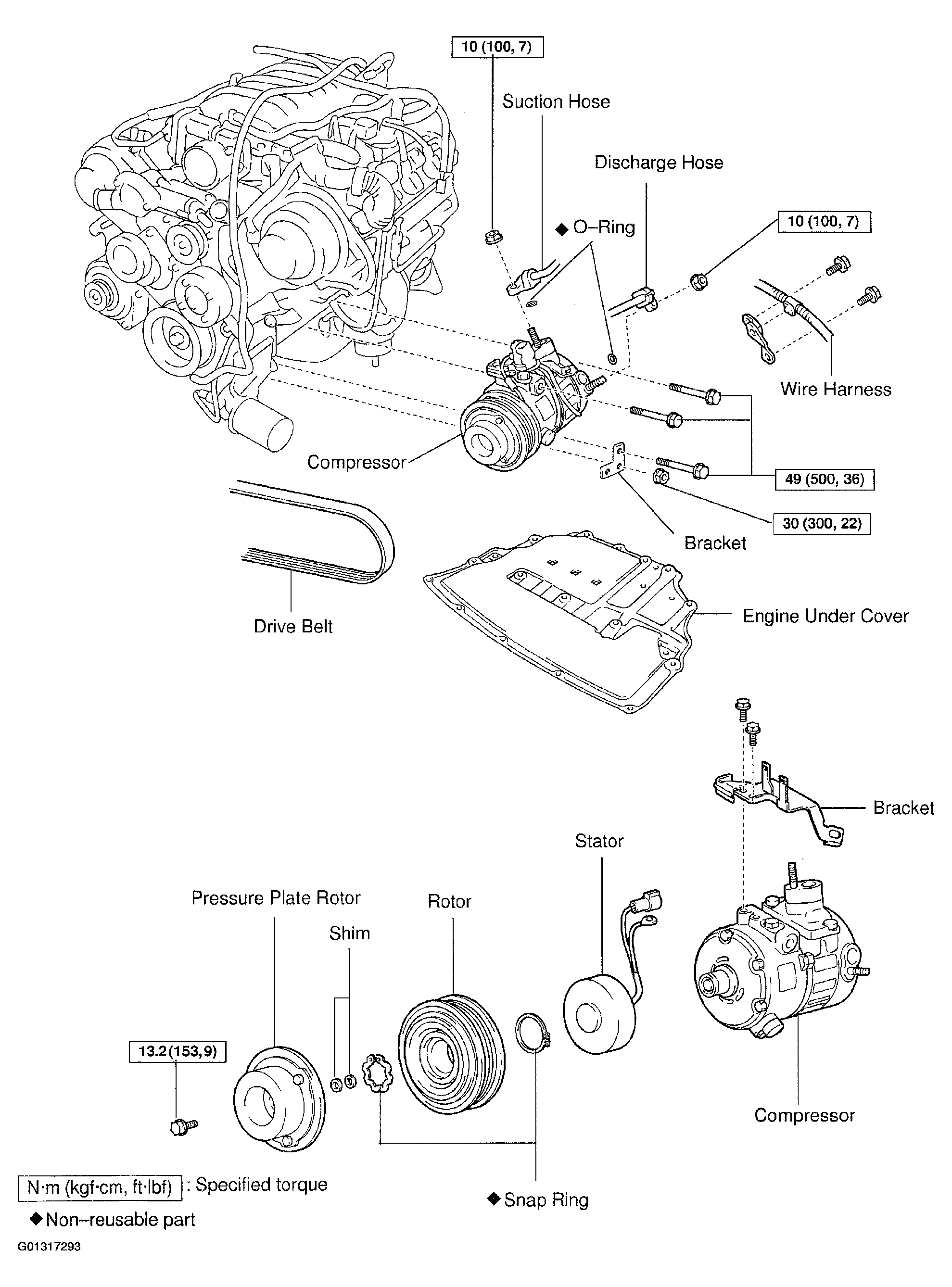 G01317293