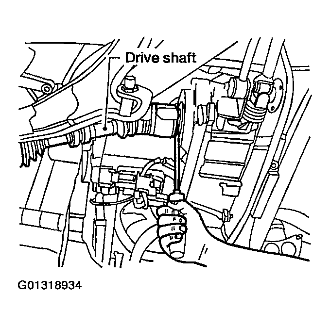 G01318934