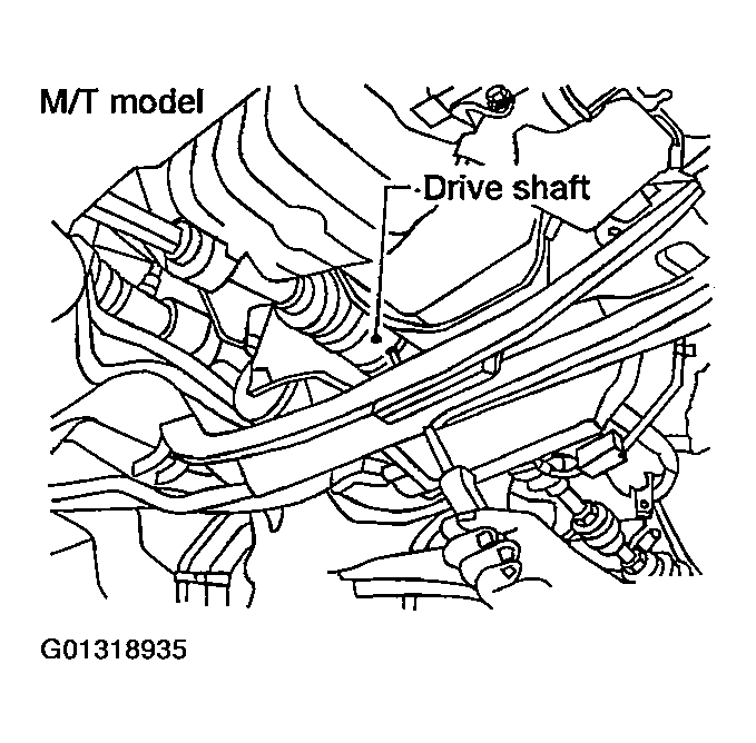 G01318935