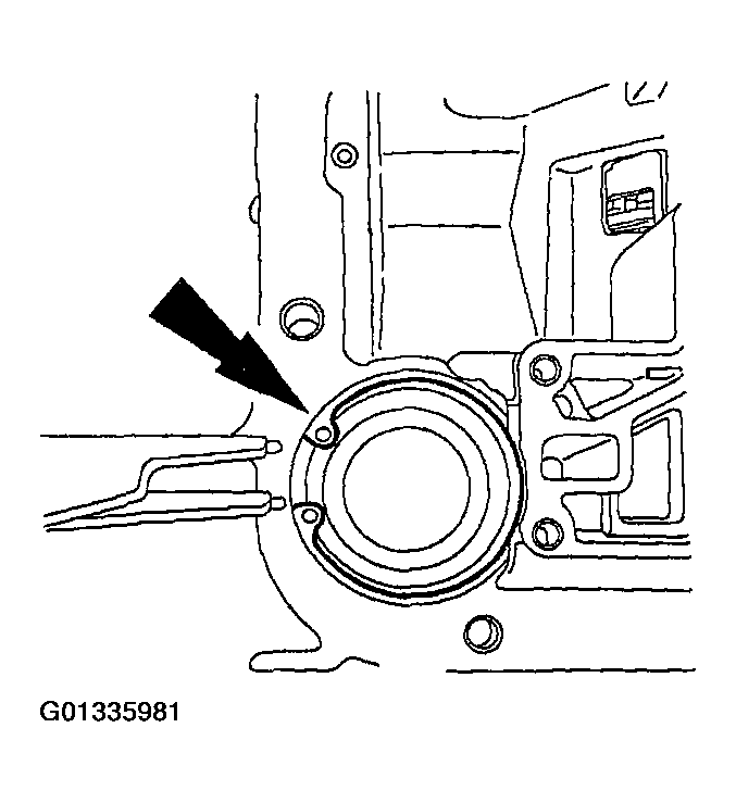 G01335981