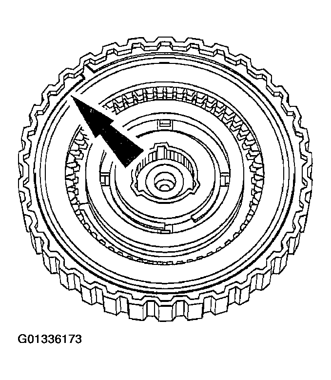 G01336173