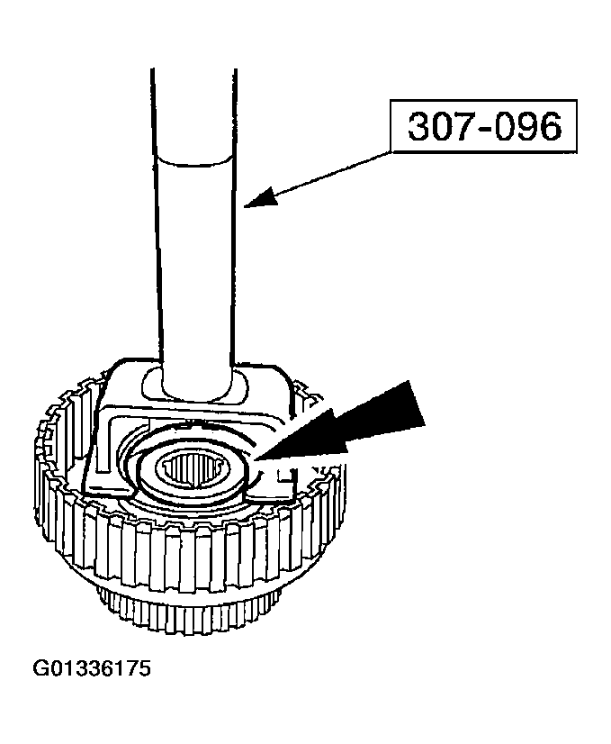 G01336175