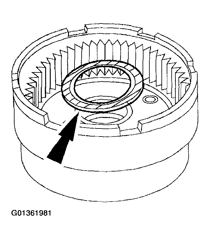G01361981